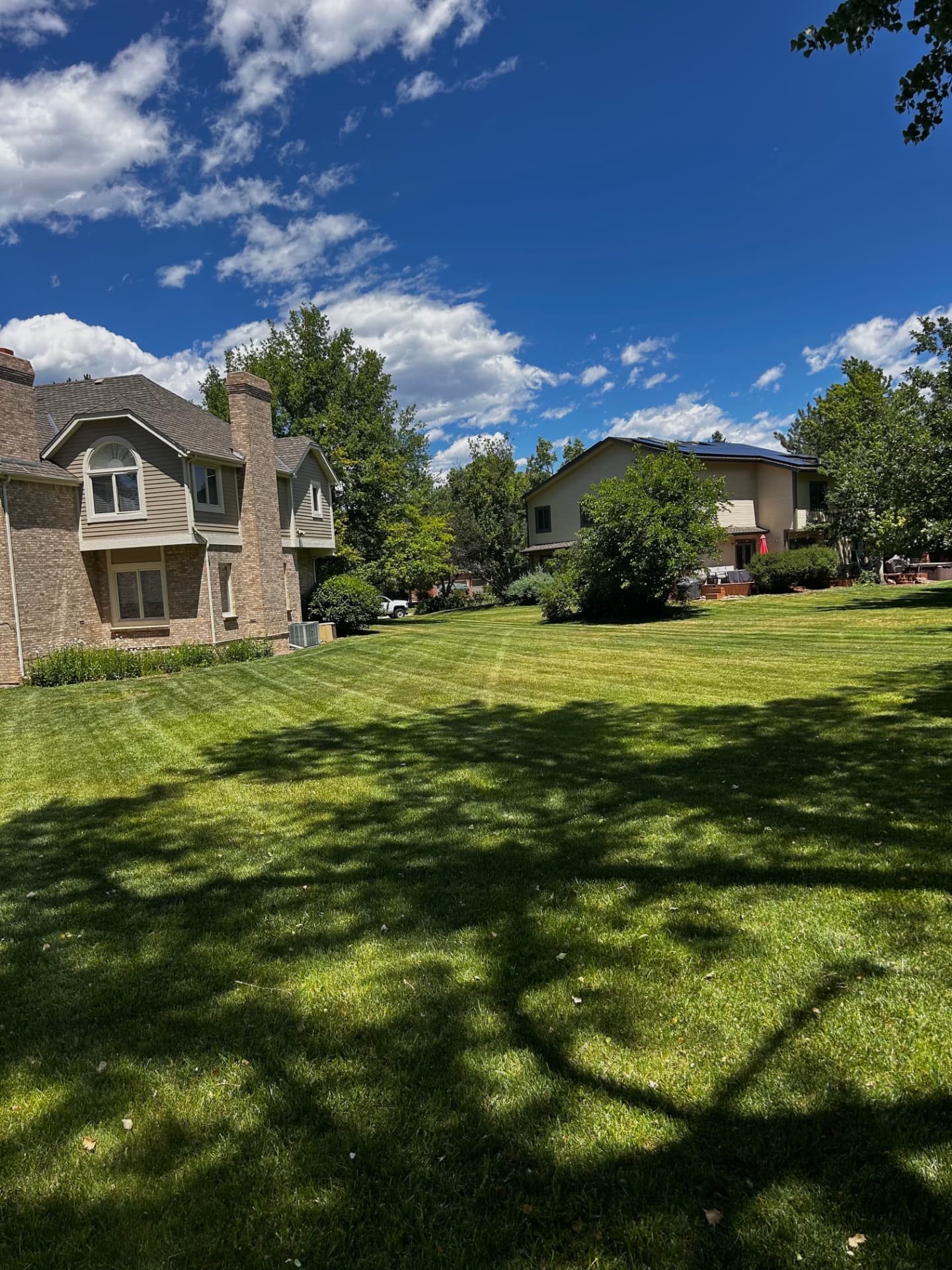 Large manicured lawn with clean mowing stripes