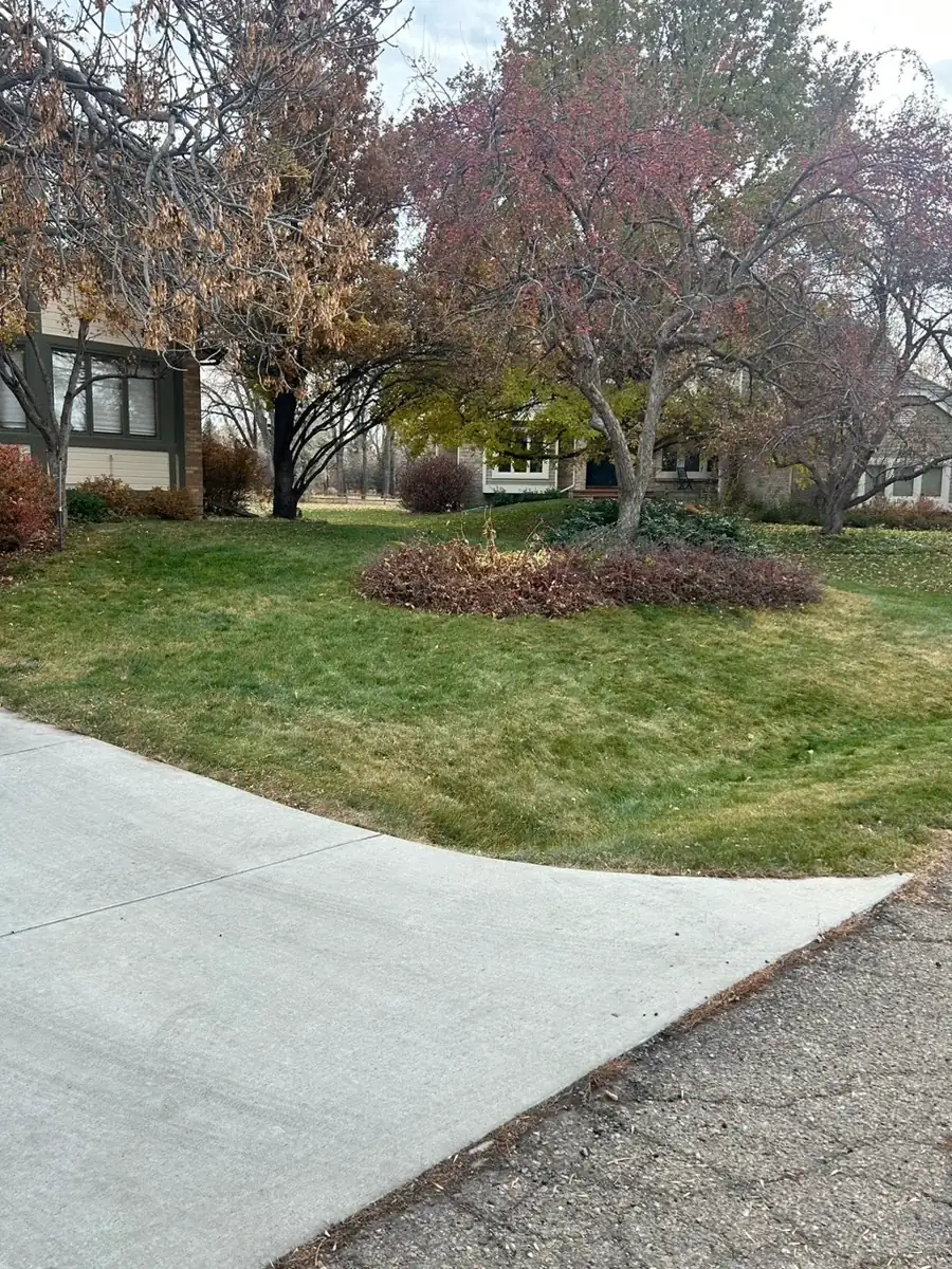 Trimmed front yard lawn and mulched tree bed next to a concrete sidewalk
